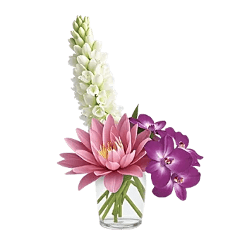 Orchid Bloom Cascade