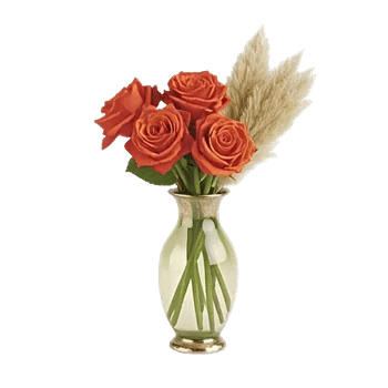 Petal Radiance Bliss