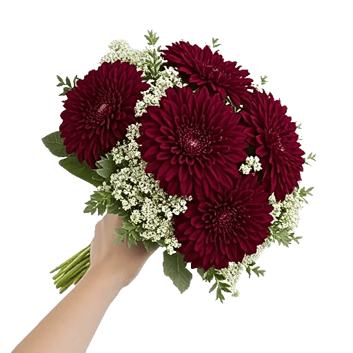 Deep Red Foliage