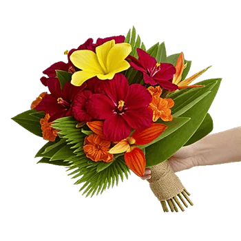 Tropical Sunflower Burst