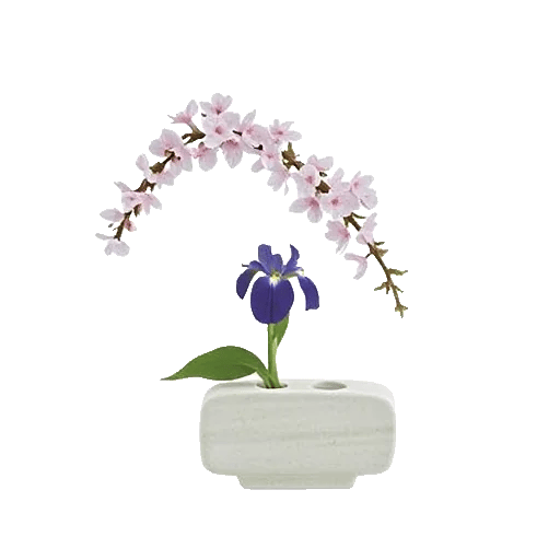 Ivory Blossom Radiance