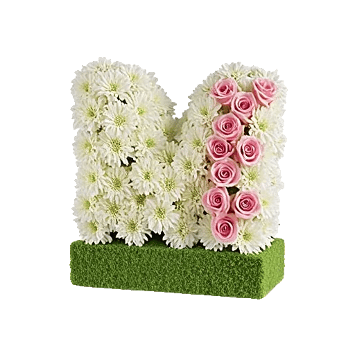 Modern White Orchids