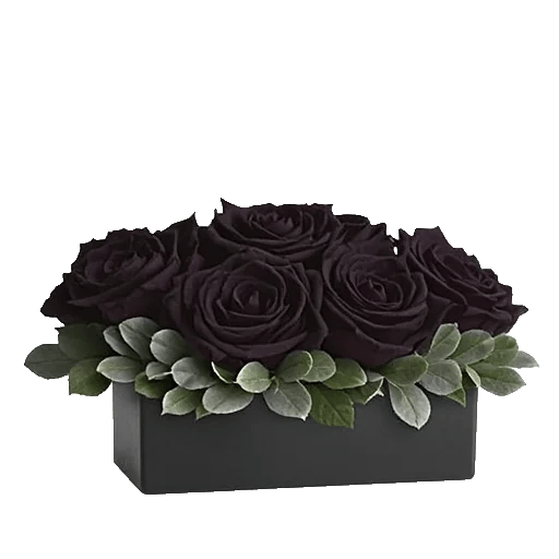 Gothic Dark Roses