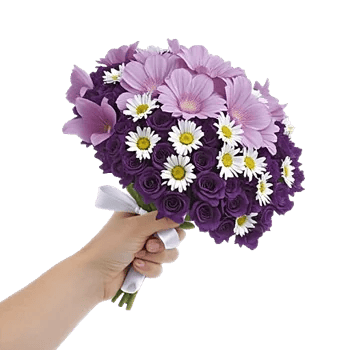 Petal Grace Harmony