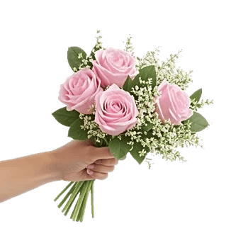Pastel Pink Roses