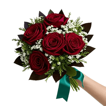 Crimson Rose Elegance