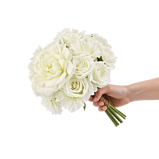 Ivory Garden Grace