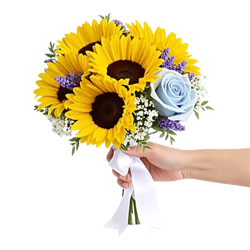 Twinkling Sunflower Dance