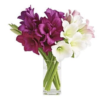 Ivory Blossom Radiance