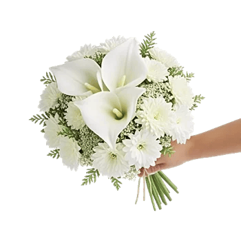 Elegant Calla Lilies