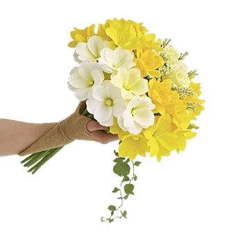 Ivory Garden Grace