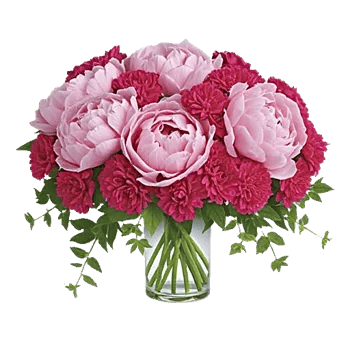 Ivory Blossom Radiance