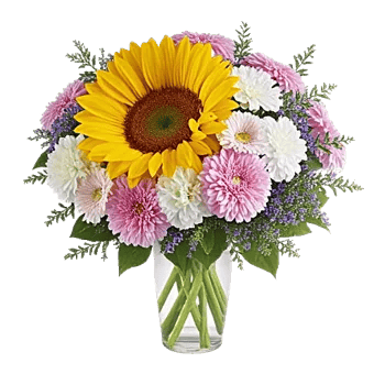 Radiant Bloom Cascade