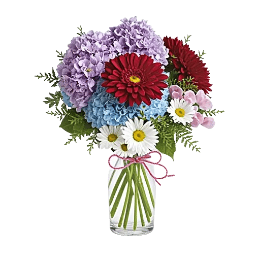 Ivory Blossom Radiance