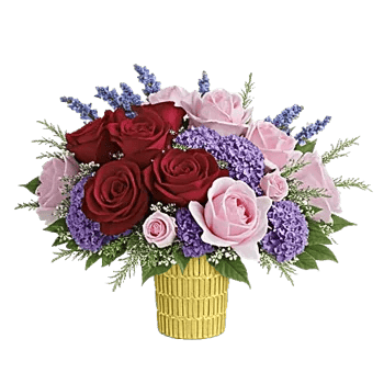 Petal Radiance Bliss