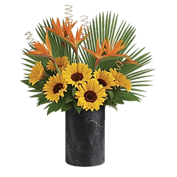 Tropical Sunflower Burst