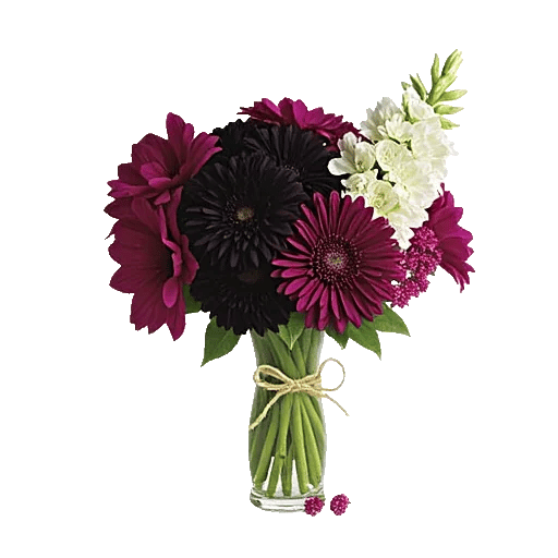 Petal Radiance Bliss