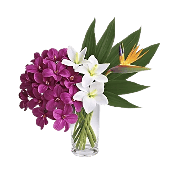 Orchid Bloom Cascade