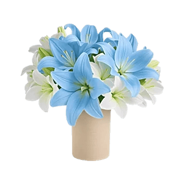 Graceful Lily Display