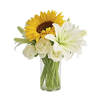 Radiant Bloom Cascade