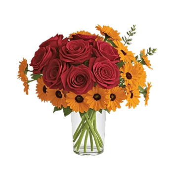 Petal Radiance Bliss