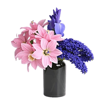 Ivory Blossom Radiance