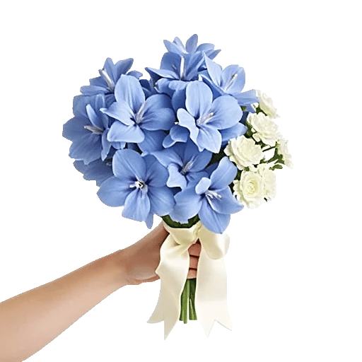 Blossom Petal Serenity