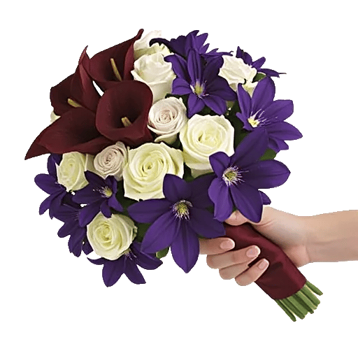 Elegant Calla Lilies