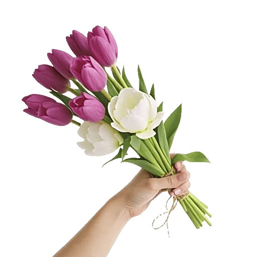 Velvet Tulip Display