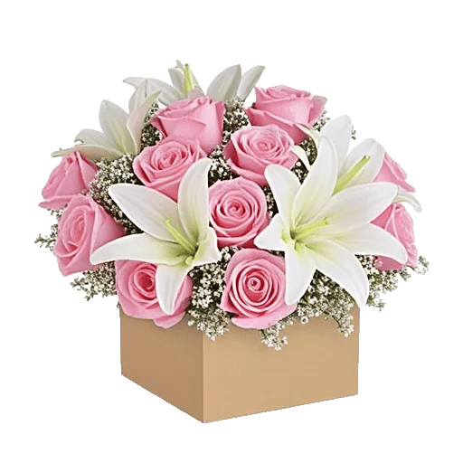 Blushing Rose Symphony