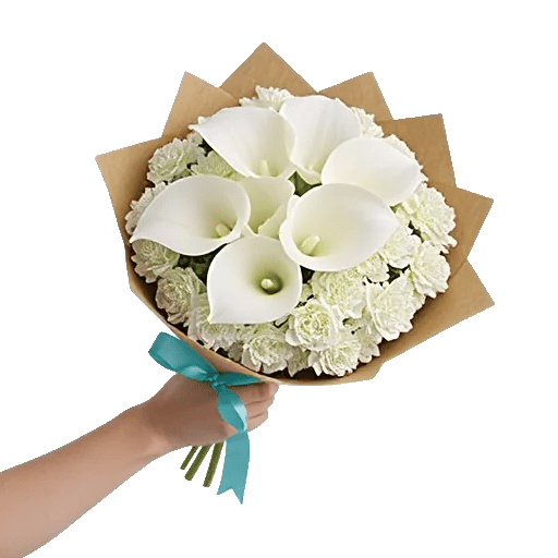 Elegant Calla Lilies