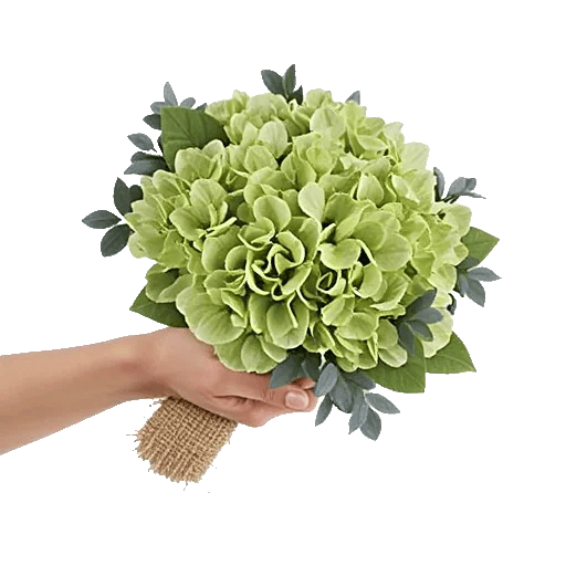 Serene Petal Harmony