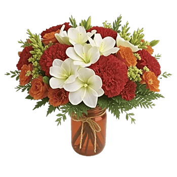 Petal Harmony Bliss