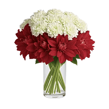 Delicate Petal Cascade