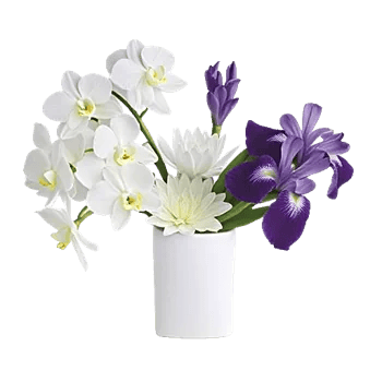 Minimalist White Orchids