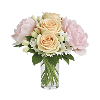 Ivory Blossom Radiance