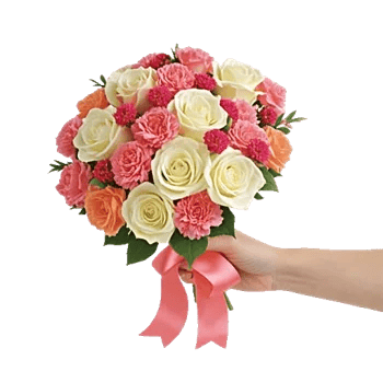 Pastel Pink Roses