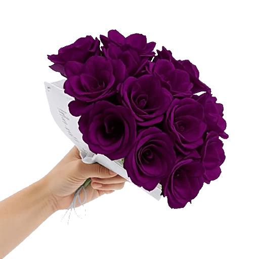 Petal Softness Display