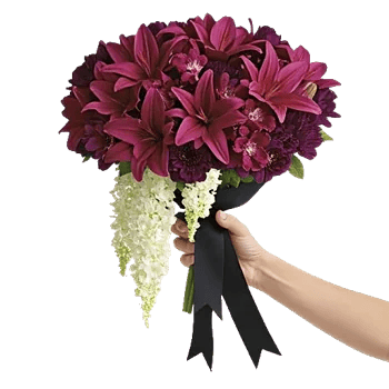 Elegant Calla Lilies