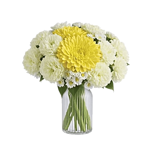 Radiant Bloom Cascade