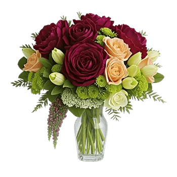 Petal Radiance Bliss