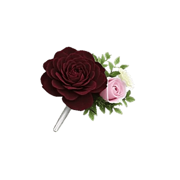 Delicate Petal Cascade