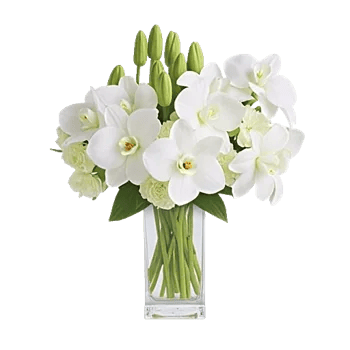 Orchid Bloom Cascade