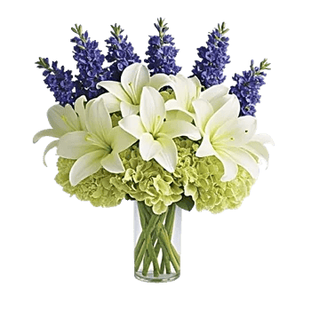 Graceful Lily Display