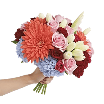 Coral Blossom Harmony