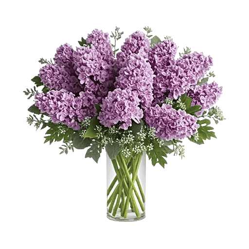 Lavender Bloom Grace