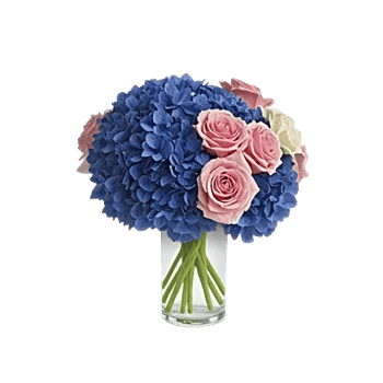 Sapphire Bloom Whisper