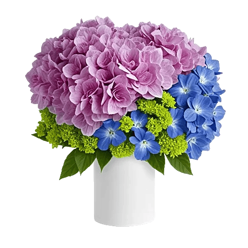 Sapphire Bloom Whisper