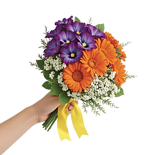 Blossom Petal Serenity