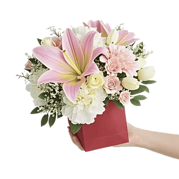 Graceful Lily Display